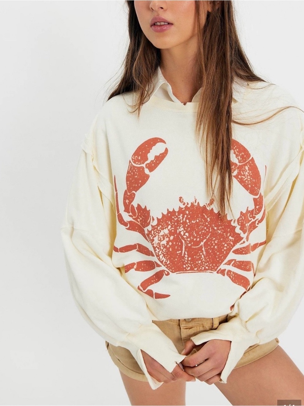 Free People We The Free Camden Pullover Lobster Combo / Crab graphic NWT XL